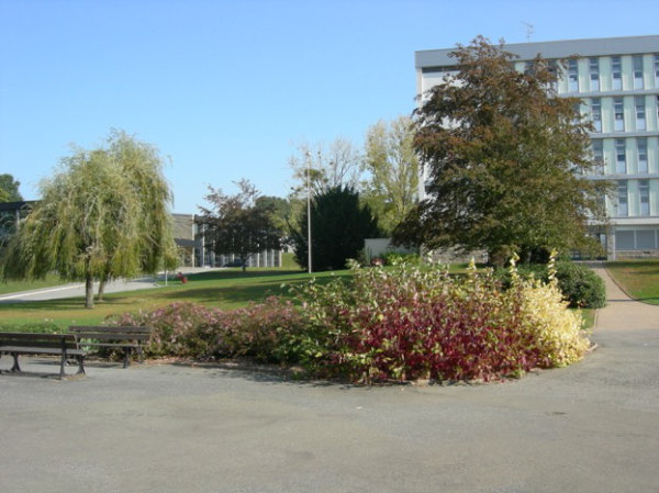 Le parc du lycée Joliot Curie