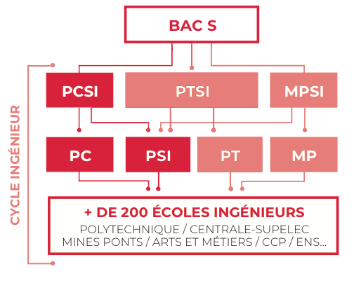 Le cycle de l'ingénieur